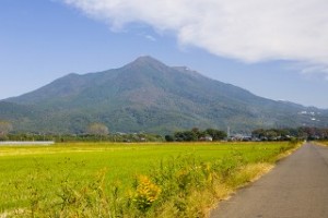 つくば市で債務整理の無料相談ができる弁護士・司法書士一覧