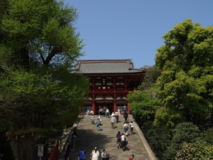 鎌倉市で債務整理の無料相談ができる弁護士・司法書士一覧